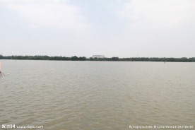 湖面景观