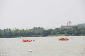 端午赛龙舟