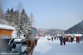 雪乡