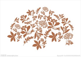 中草药花纹
