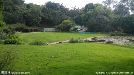 植物园之蔷薇园