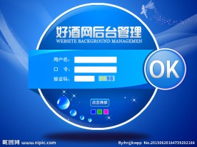 后台登录管理界面