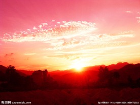 夕阳红