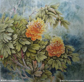 花容玉貌