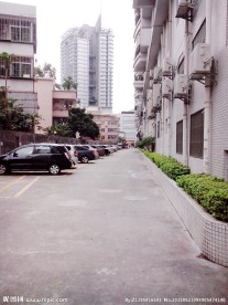 城市一景