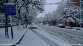 雪景路