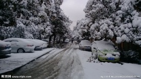 雪景路