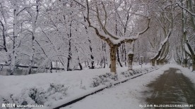 雪景路