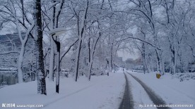 雪景路