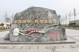 西部工业园 厂貌