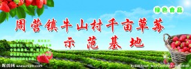 草莓基地