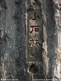 小石林