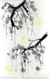 服装花纹 面料