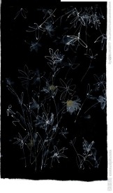 服装花纹 面料