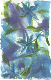 服装花纹 面料