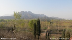 嵩山中岳庙全景