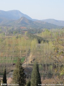 嵩山中岳庙