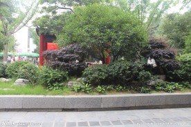 园林景观摄影