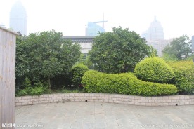园林景观摄影