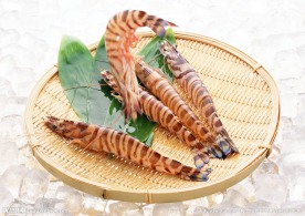 虾子