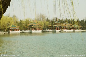 杨柳青青