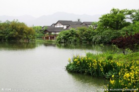 池塘