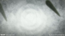水墨竹叶视频