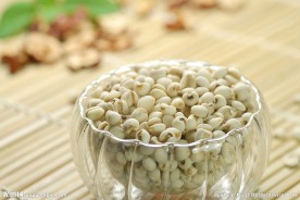 精选小薏米仁 薏米