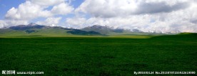 草原风景