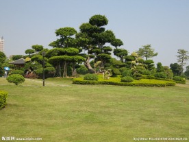 园林高端配置效果图