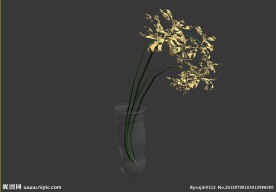 鲜花模型