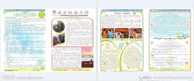 企石镇社会工作简报