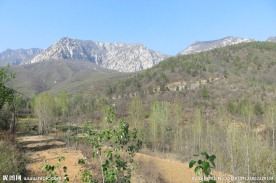 嵩山峻极峰风光