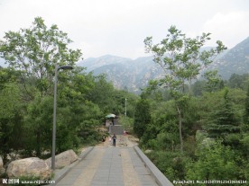 嵩山风景