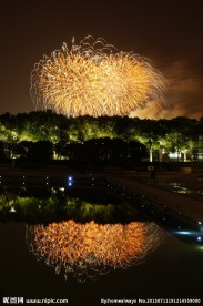 2012世纪公园烟花