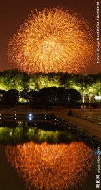 2012世纪公园烟花