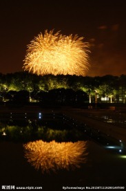 2012世纪公园烟花