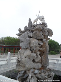 扎龙