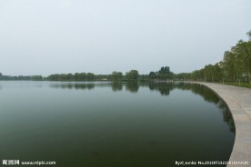 莲花湖柳岸