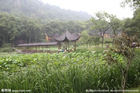 亭林公园自然风景画