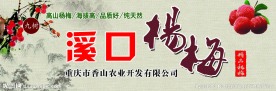 杨梅