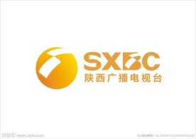陕西广播电视台LOG
