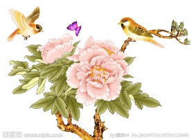 花鸟