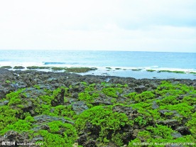 海滩