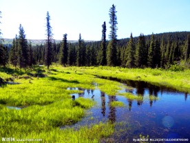 森林湖泊