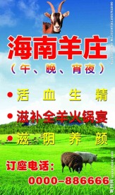 海南羊庄海报