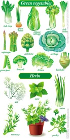 绿色蔬菜
