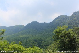 绿山
