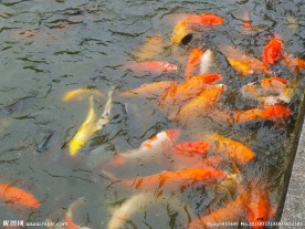 花都人民公园图片