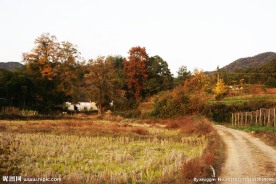 乡间小路